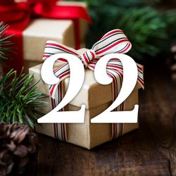 22e jour