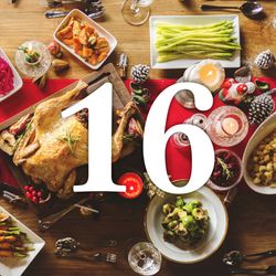 16e jour